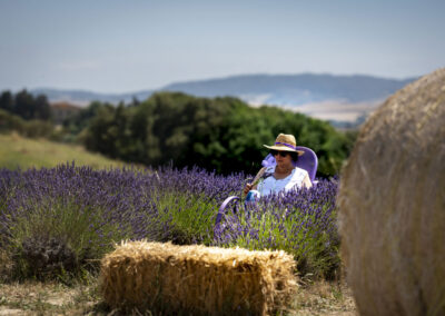 Di Grigoli Angela Azienda Agricola Biologica